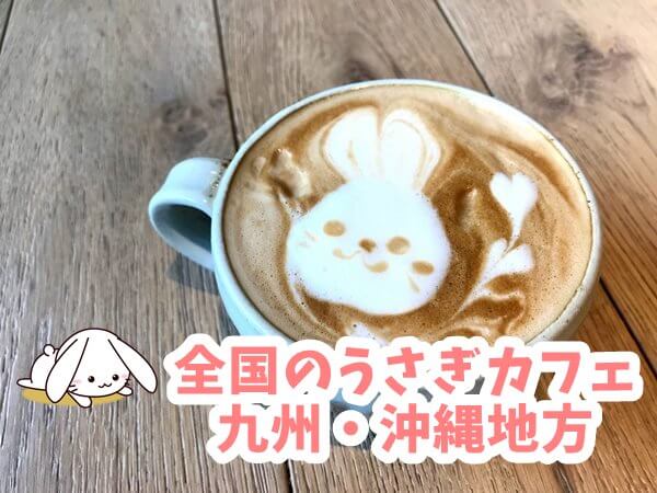 九州 沖縄地方のうさぎカフェ うさぎの鼻