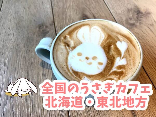 北海道 東北地方のうさぎカフェ うさぎの鼻