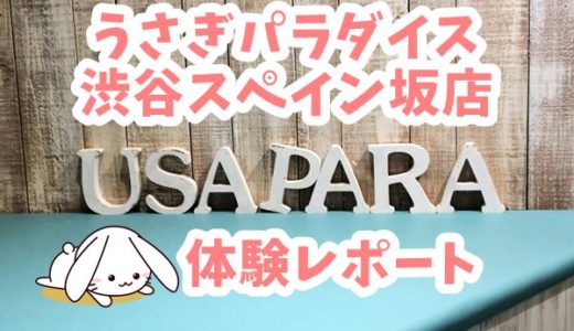 うさぎカフェ「うさぎパラダイス渋谷スペイン坂店」体験レポート