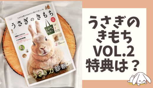 うさぎのガチャガチャが人気急上昇中 うさぎ好きが選ぶかわいいフィギュア7選 うさぎの鼻