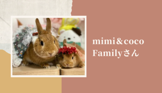 【うさぎ作家】mimi＆coco Familyさん｜ミミちゃんたちにインタビュー！