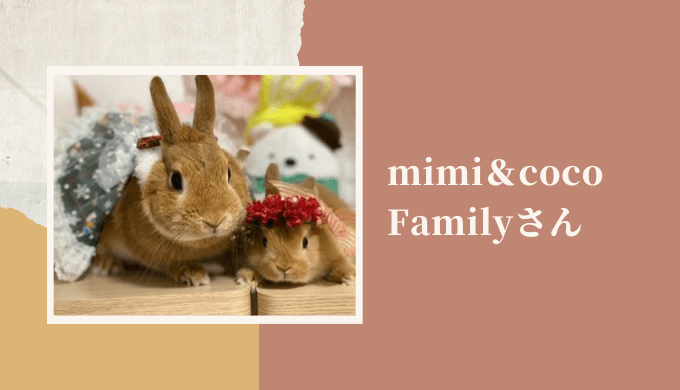 【うさぎ作家】mimi＆coco Familyさん｜ミミちゃんたちにインタビュー